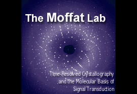 [ Moffat Lab ]
